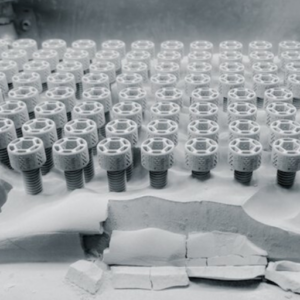 Binder Jet 3D Printing