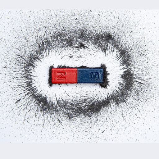 What is a Ferromagnetic Metal?