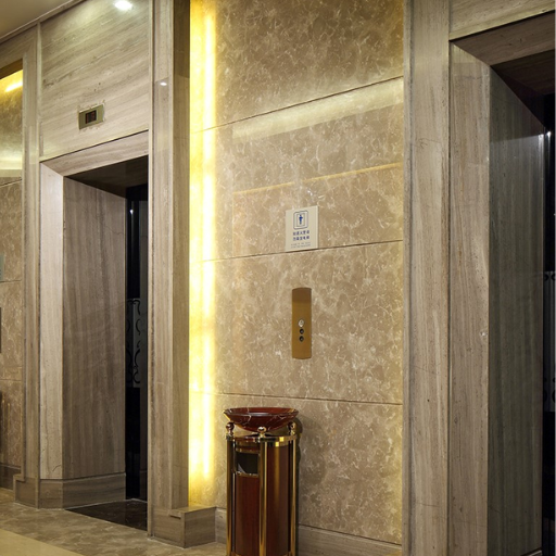 elevator for hotel 
