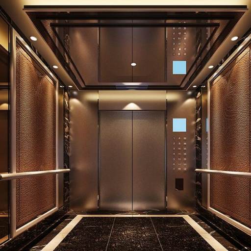 elevator for hotel