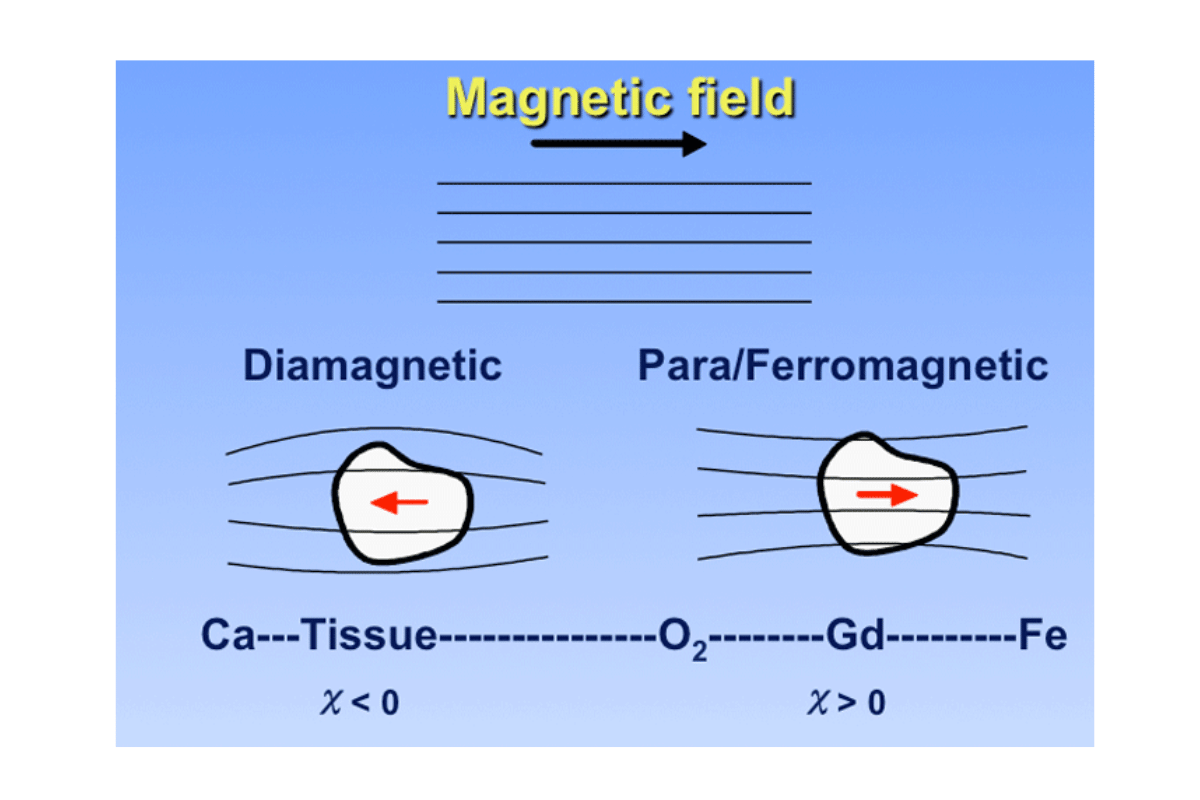 is ti paramagnetic or diamagnetic