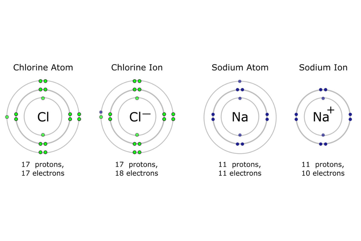 neutral element 