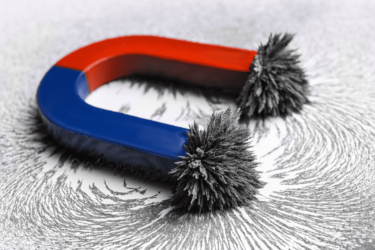 what do magnets attract