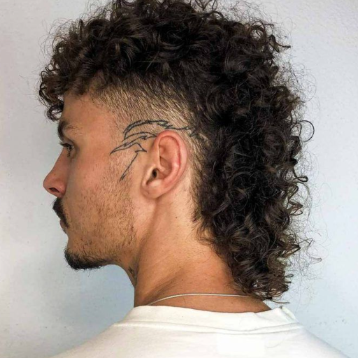 curly hair burst fade