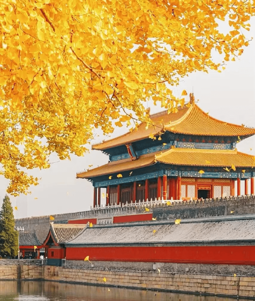 Day 1: Exploring the Heart of Beijing