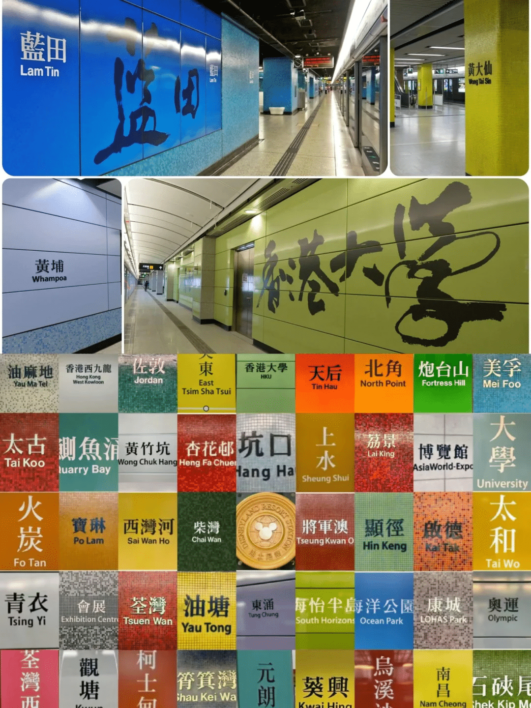How to navigate Hong Kong's public transportation system?