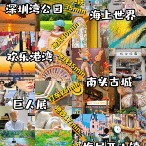 Ultimate Guide to a Shenzhen Day Tour from Hong Kong: Top Tips & Spots
