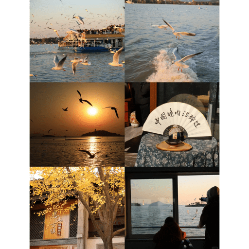 What are the best day trips from Shanghai