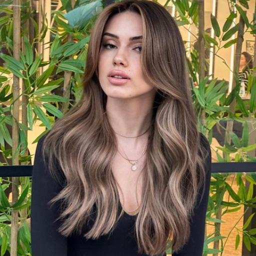 highlights 2025 hair