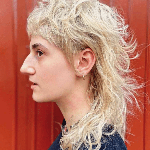 Hair Types and the Wolf Cut