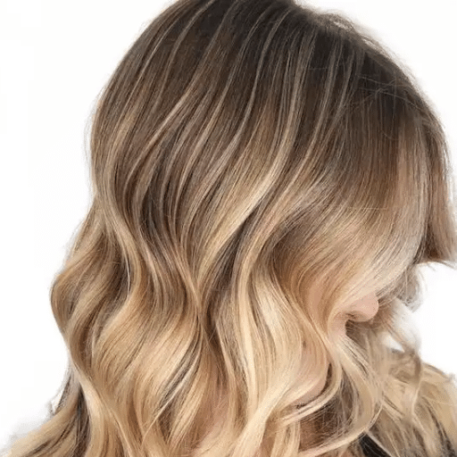 Understanding the Brown to Blonde Hair Transformation