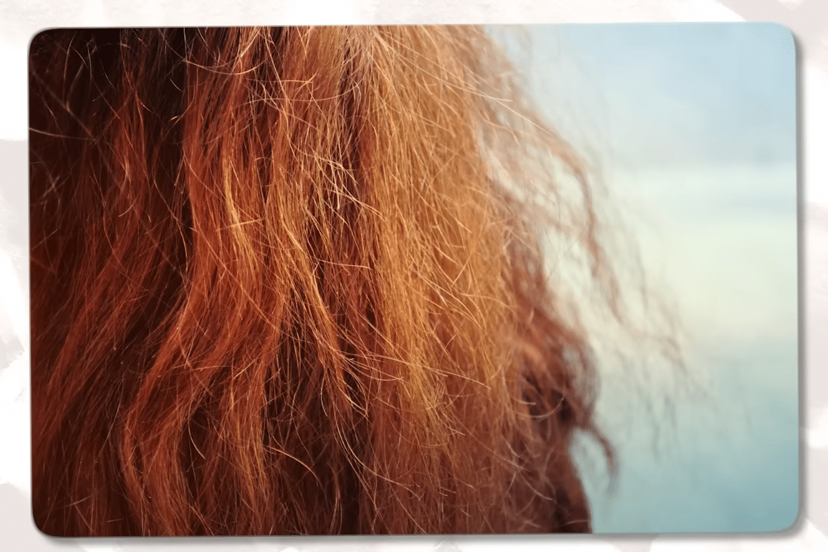 Causes of Dry Hair