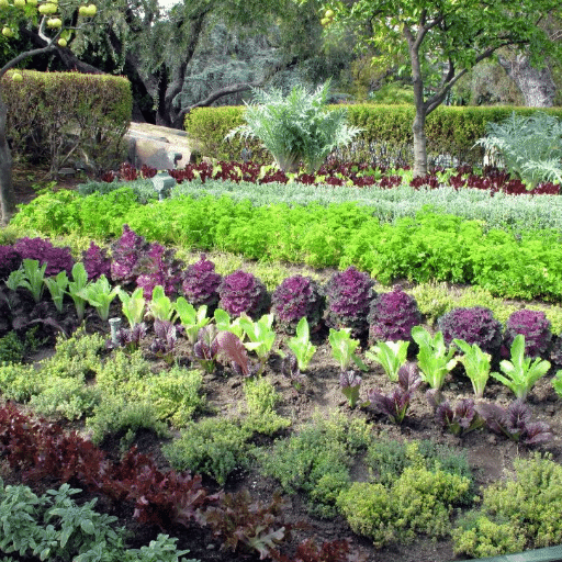Specific Plants to Enhance Your Garden